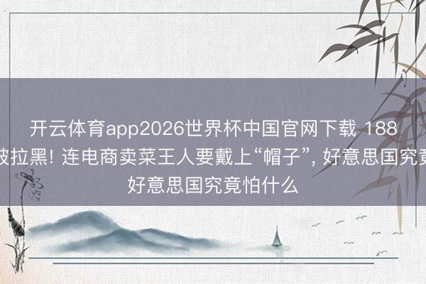 开云体育app2026世界杯中国官网下载 188家中企被拉黑! 连电商卖菜王人要戴上“帽子”， 好意思国究竟怕什么
