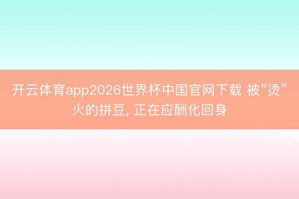 开云体育app2026世界杯中国官网下载 被“烫”火的拼豆， 正在应酬化回身
