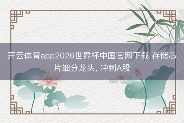 开云体育app2026世界杯中国官网下载 存储芯片细分龙头， 冲刺A股